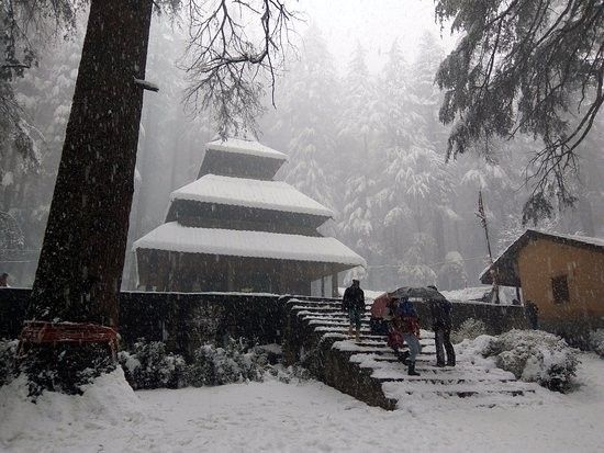 Top 5 Things to Do in Manali for First-Time Visitors k32ksha hadimba devi temple 4